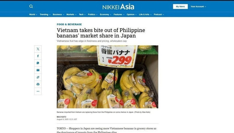 Nikkei Asia rapporte que les bananes vietnamiennes gagnent en popularité dans les épiceries japonaises. (Capture d'écran : VNA) Nikkei Asia rapporte que les bananes vietnamiennes gagnent en popularité dans les épiceries japonaises. (Capture d'écran : VNA)