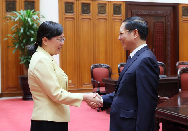 Le vice-Premier ministre Bui Thanh Son et Zhang Guozhi, vice-gouverneure du Guangdong. Photo : VNA. Le vice-Premier ministre Bui Thanh Son et Zhang Guozhi, vice-gouverneure du Guangdong. Photo : VNA.