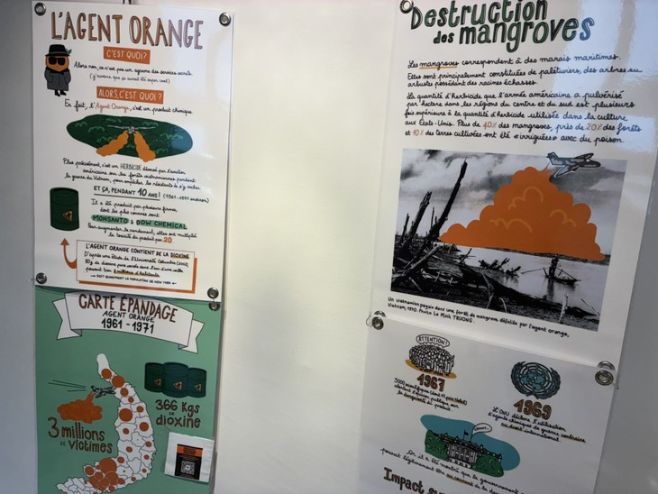 Des affiches sur les séquelles de l'agent orange. Photo : Guillaume Marchal.