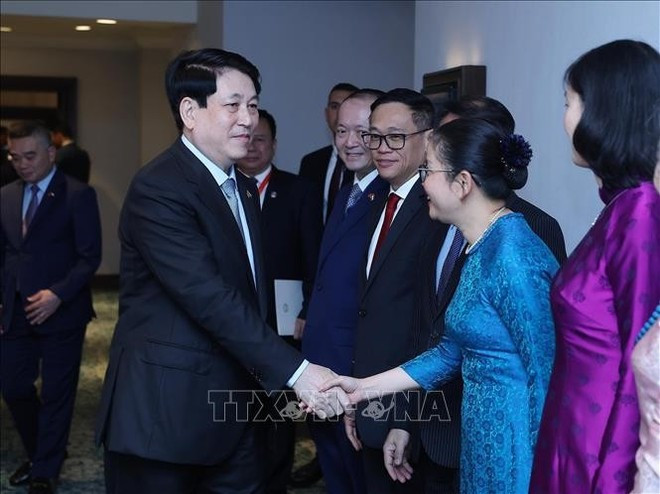 Le président vietnamien Luong Cuong a rencontré, dans la soirée du 3 août au Caire, les ambassadeurs du Vietnam accrédités dans divers pays africains. Photo : VNA Le président vietnamien Luong Cuong a rencontré, dans la soirée du 3 août au Caire, les ambassadeurs du Vietnam accrédités dans divers pays africains. Photo : VNA