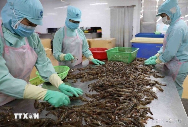 Au premier semestre 2025, les échanges Vietnam-Égypte ont atteint 266,9 millions de dollars, soit une hausse de 8 % sur un an. Photo : VNA Au premier semestre 2025, les échanges Vietnam-Égypte ont atteint 266,9 millions de dollars, soit une hausse de 8 % sur un an. Photo : VNA