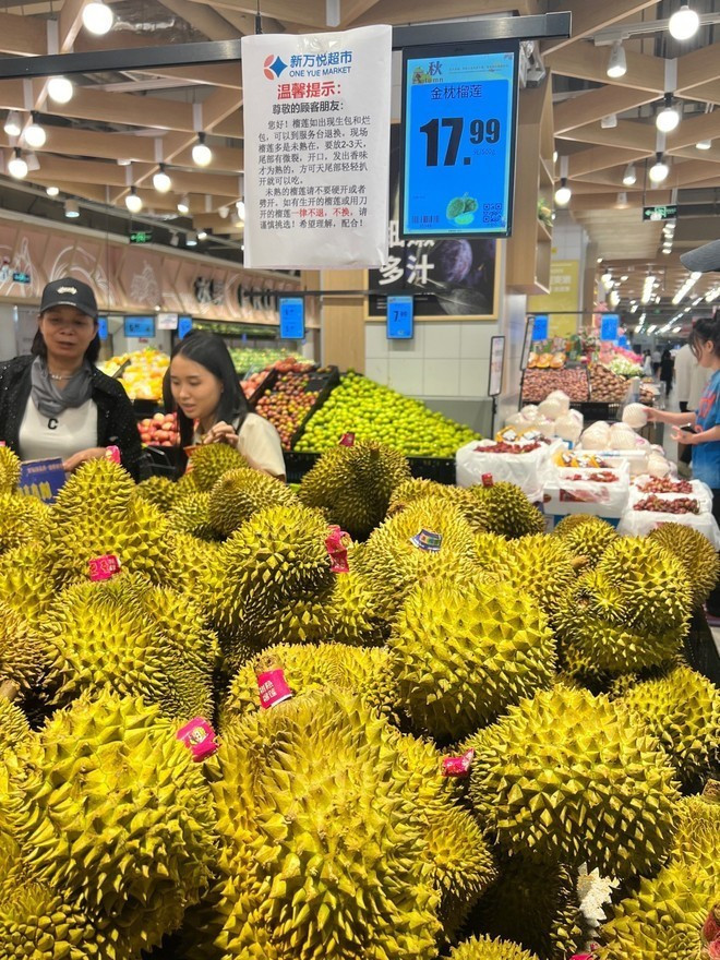 Le durian vietnamien est de plus en plus populaire auprès des consommateurs chinois. Photo : Internet. Le durian vietnamien est de plus en plus populaire auprès des consommateurs chinois. Photo : Internet.