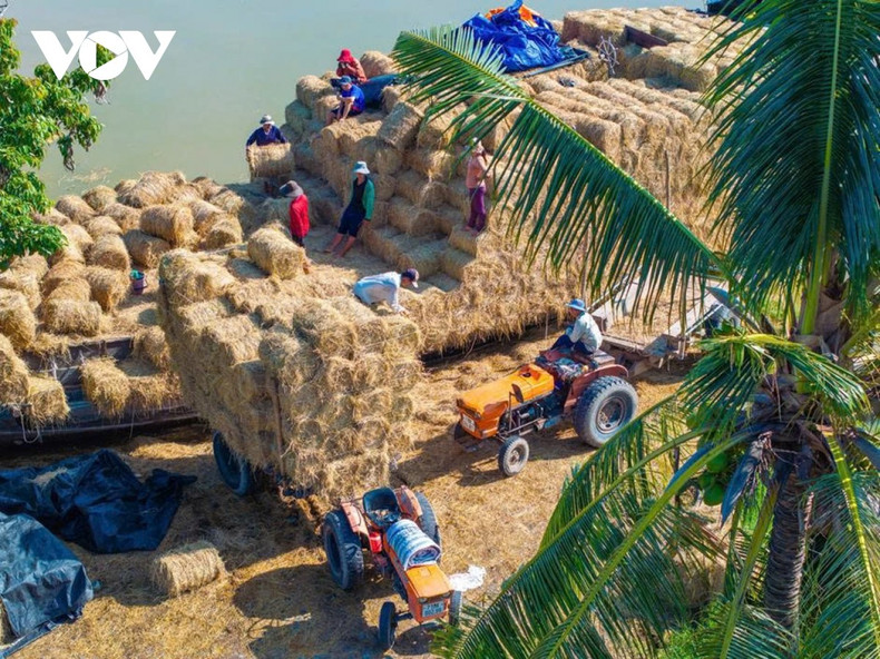 Chaque barge fait office d’entrepôt mobile, transportant de plusieurs centaines à plus d’un millier de bottes de paille sèche, compressées mécaniquement. Le processus de collecte, de pressage et de transport est entièrement intégré, garantissant une paille sèche, propre et résistante à la moisissure lors d’un stockage prolongé.