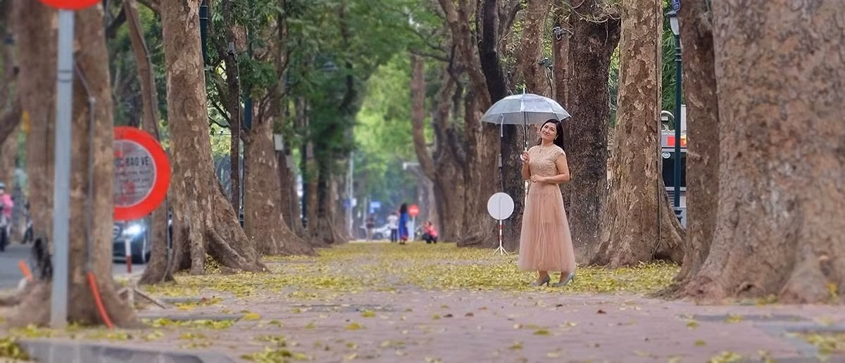 ha-noi-mua-la-rung-10.jpg