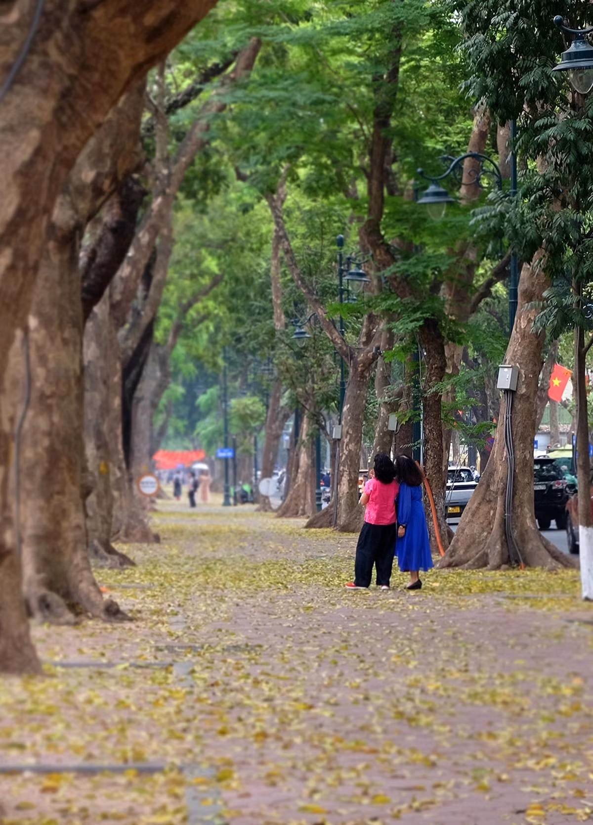ha-noi-mua-la-rung-7-1.jpg
