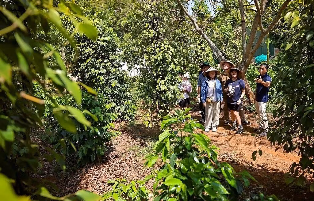co-gi-hap-dan-trong-hanh-trinh-ca-phe-buon-ma-thuot-lot-top-am-thuc-the-gioi-4.jpg