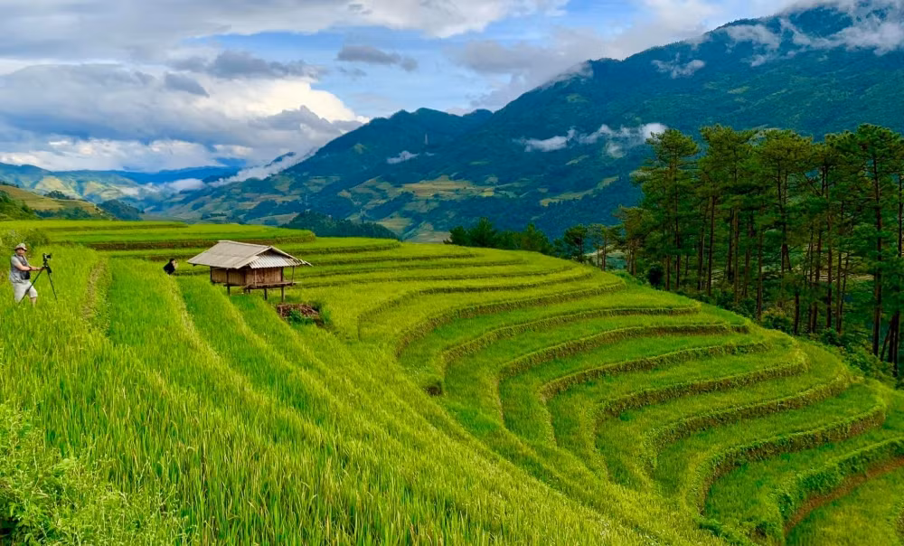 Mu Cang Chai inondé de la couleur jaune de rizières en terasse ảnh 2