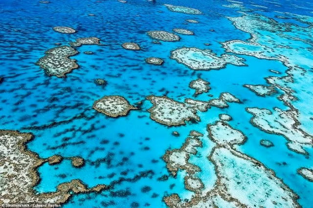 Mù Cang Chai dans la liste des 50 des plus beaux endroits du monde en 2020 ảnh 6
