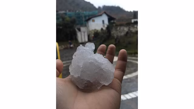 Il neige à Y Ty et à Sa Pa ảnh 5