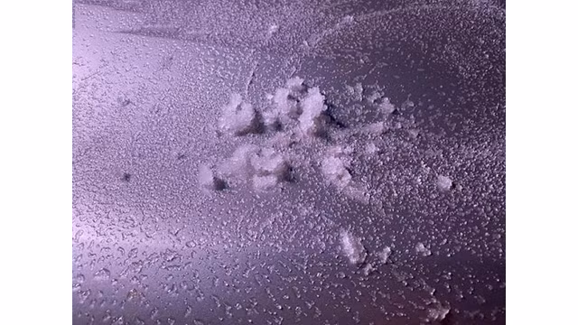 Il neige à Y Ty et à Sa Pa ảnh 7