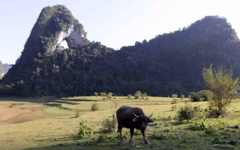 Voyage printanier à Cao Bang ảnh 11 Voyage printanier à Cao Bang ảnh 11