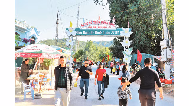 La fête florale des camélias à Binh Liêu ảnh 2