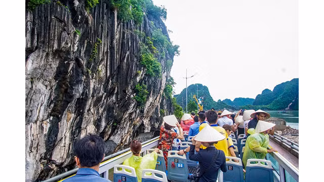 Des touristes étrangers à Halong sont enthousiastes avec des bus à deux étages ảnh 5 Des touristes étrangers à Halong sont enthousiastes avec des bus à deux étages ảnh 5