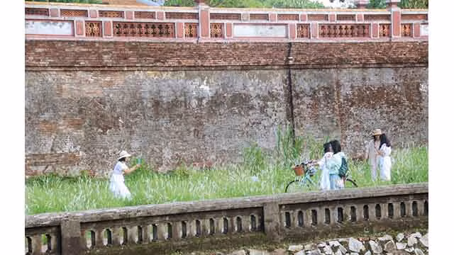 Les visiteurs enthousiasmés par la prise de photos des fleurs d’imperata cylindrica à la Cité pourpre interdite ảnh 6 Les visiteurs enthousiasmés par la prise de photos des fleurs d’imperata cylindrica à la Cité pourpre interdite ảnh 6