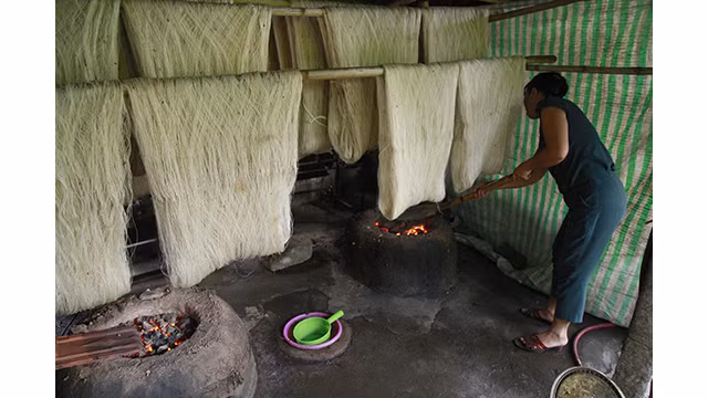 Un célèbre village de la soie de la province de Nam Dinh ảnh 6
