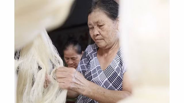 Un célèbre village de la soie de la province de Nam Dinh ảnh 8