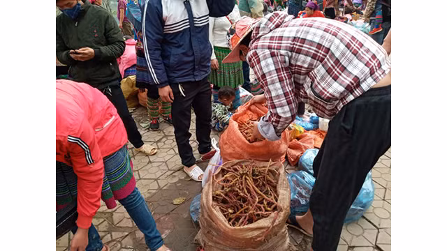 Unique marché montagnard à Lào Cai ảnh 3 Unique marché montagnard à Lào Cai ảnh 3