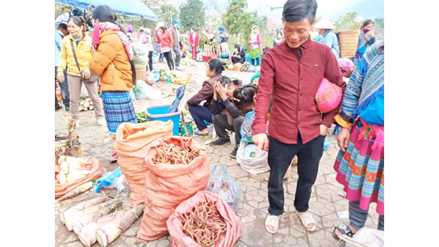 Unique marché montagnard à Lào Cai ảnh 5 Unique marché montagnard à Lào Cai ảnh 5