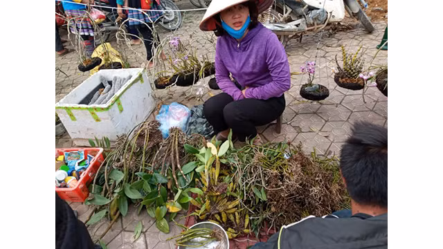 Unique marché montagnard à Lào Cai ảnh 6 Unique marché montagnard à Lào Cai ảnh 6
