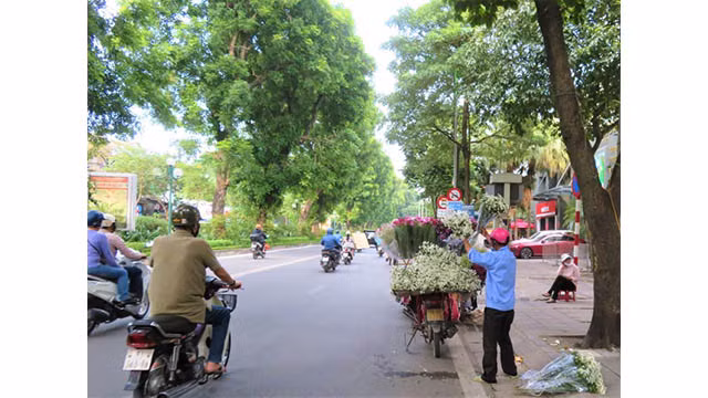 Hanoi brille de couleurs de fleurs d’automne ảnh 3