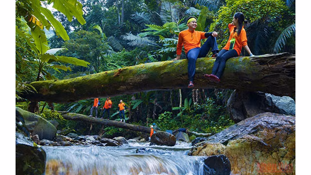 La belle cascade Toc Tiên, dans la forêt de Dông Châu à Quang Binh ảnh 8 La belle cascade Toc Tiên, dans la forêt de Dông Châu à Quang Binh ảnh 8