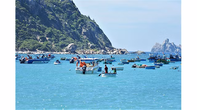 Tourisme estivale sur l’île de Cu Lao Xanh ảnh 3 Tourisme estivale sur l’île de Cu Lao Xanh ảnh 3