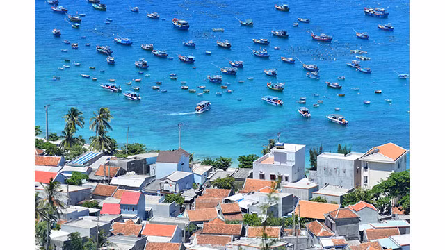 Tourisme estivale sur l’île de Cu Lao Xanh ảnh 2 Tourisme estivale sur l’île de Cu Lao Xanh ảnh 2