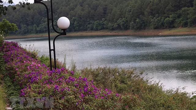Le lac de Biên Hô, un paysage à ne pas manquer à Gia Lai ảnh 2 Le lac de Biên Hô, un paysage à ne pas manquer à Gia Lai ảnh 2