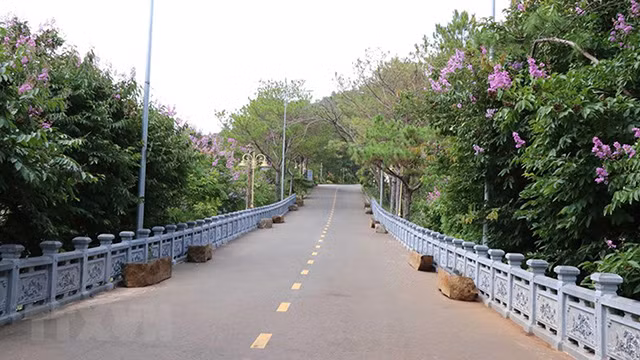 Le lac de Biên Hô, un paysage à ne pas manquer à Gia Lai ảnh 4 Le lac de Biên Hô, un paysage à ne pas manquer à Gia Lai ảnh 4