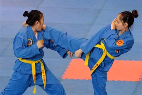 Le Vovinam, un pont d'amitié Vietnam – Inde ảnh 1