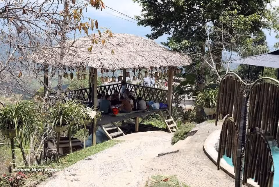 lc1.jpg