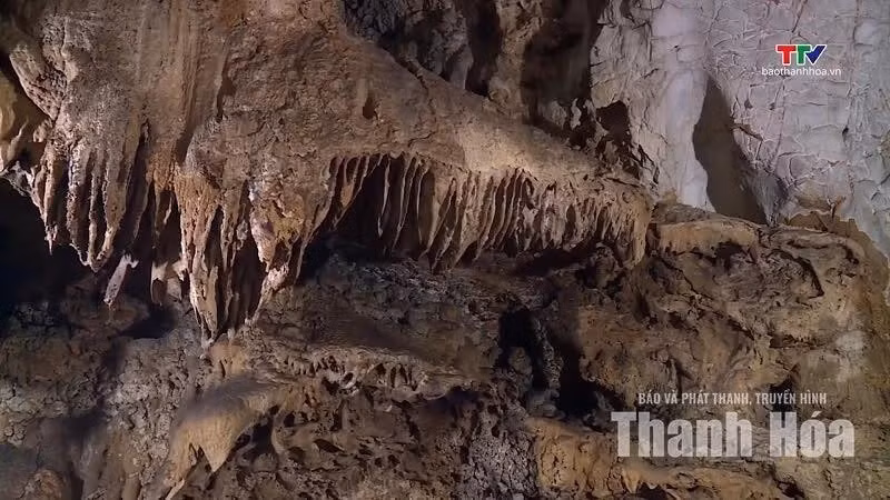Le réseau de cavités présente de nombreuses formations naturelles remarquables. Photo : baothanhhoa.vn.