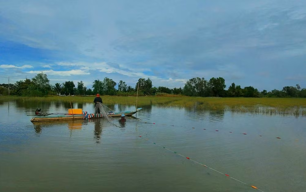 La saison des crues ne doit pas nécessairement être une période d’attente jusqu’au retrait des eaux. Bien organisée, elle peut devenir une saison de production, de tourisme et de création de revenus pour les populations locales. Photo: Duy Khuong/VNA