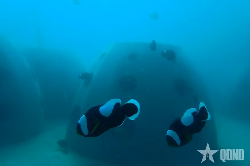 Le module est déposé sur le fond marin.