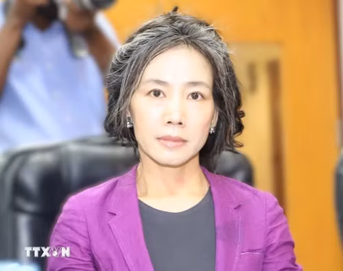 L’ambassadrice du Vietnam en Tanzanie et en Éthiopie, Vu Thanh Huyên. Photo : VNA.