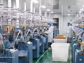 Dans une entreprise à capitaux étrangers à Tay Ninh (Sud). Photo : VNA.