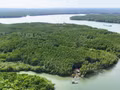 La mangrove de Can Gio, au Sud du Vietnam, un important puits de carbone naturel, contribue à la création de crédits carbone destinés au marché vietnamien du carbone. Photo : VNA.