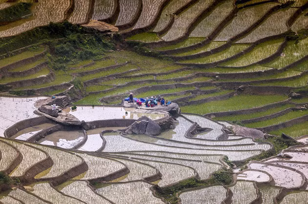 Le bonheur familial simple dans différentes régions du Vietnam ảnh 11