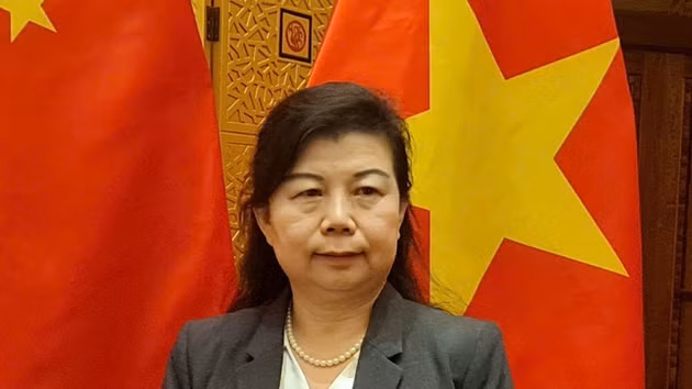 Liu Ying, chercheuse à l’Institut Chongyang d’études financières de l’Université Renmin de Chine. Photo : VNA.