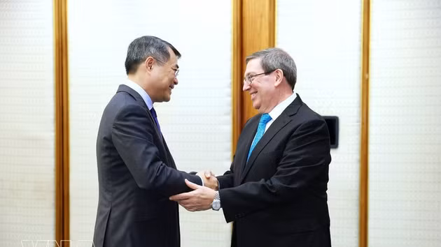 Le Premier ministre vietnamien Le Minh Hung (à gauche) rencontre le membre du Bureau politique du Parti communiste de Cuba (PCC) et ministre cubain des Affaires étrangères, Bruno Rodriguez Parrilla. Photo : VNA. 