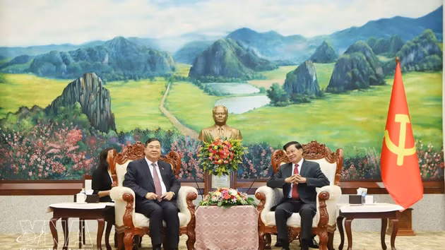 Le secrétaire général du PPRL et président lao Thongloun Sisoulith (à droite) reçoit le vice-Premier ministre vietnamien Pham Gia Tuc. Photo : VNA 