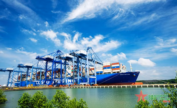 Le port international de Tan Cang - Cai Mep (TCIT) a reçu un prix pour "port vert" en 2020. Photo : qdnd.vn Le port international de Tan Cang - Cai Mep (TCIT) a reçu un prix pour "port vert" en 2020. Photo : qdnd.vn