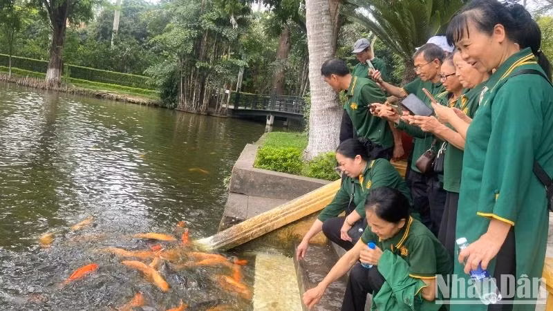 Des visiteurs visitent l’étang de poissons du Président Hô Chi Minh.