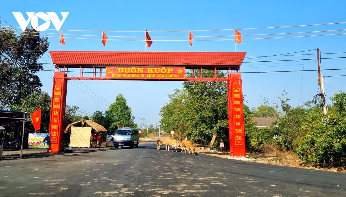 En tant que troisième village du touristique communautaire de Dak Lak, Kuop préserve encore environ 50 maisons traditionnelles et de nombreuses valeurs culturelles des ethnies Ede et Mo Nong. Photo: VOV En tant que troisième village du touristique communautaire de Dak Lak, Kuop préserve encore environ 50 maisons traditionnelles et de nombreuses valeurs culturelles des ethnies Ede et Mo Nong. Photo: VOV