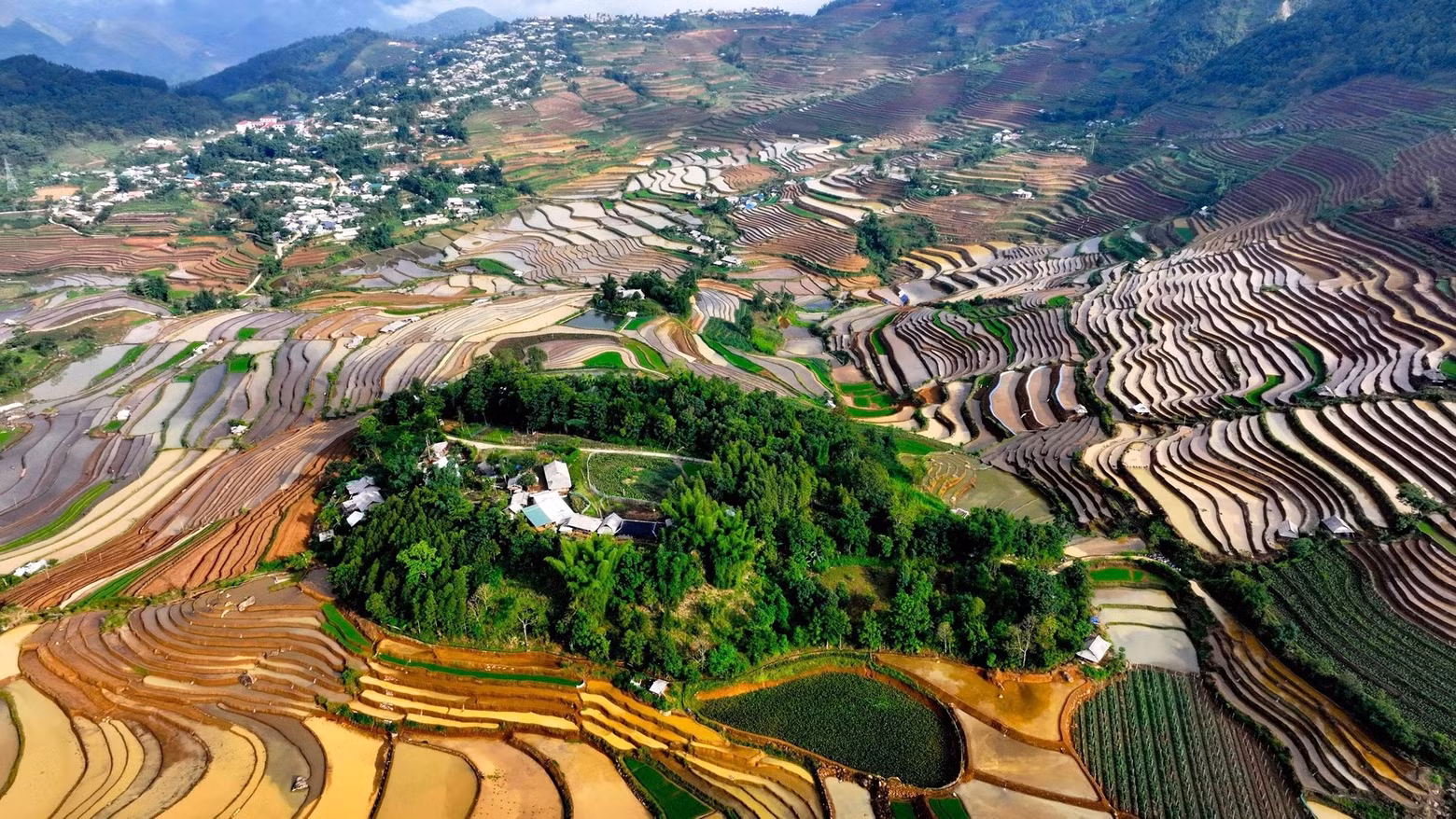 Vu d’en haut, les rizières en terrasses ressemblent à des peintures colorées de hautes montagnes, captivant les touristes, les photographes et les cinéastes. Photo : nhandan.vn
