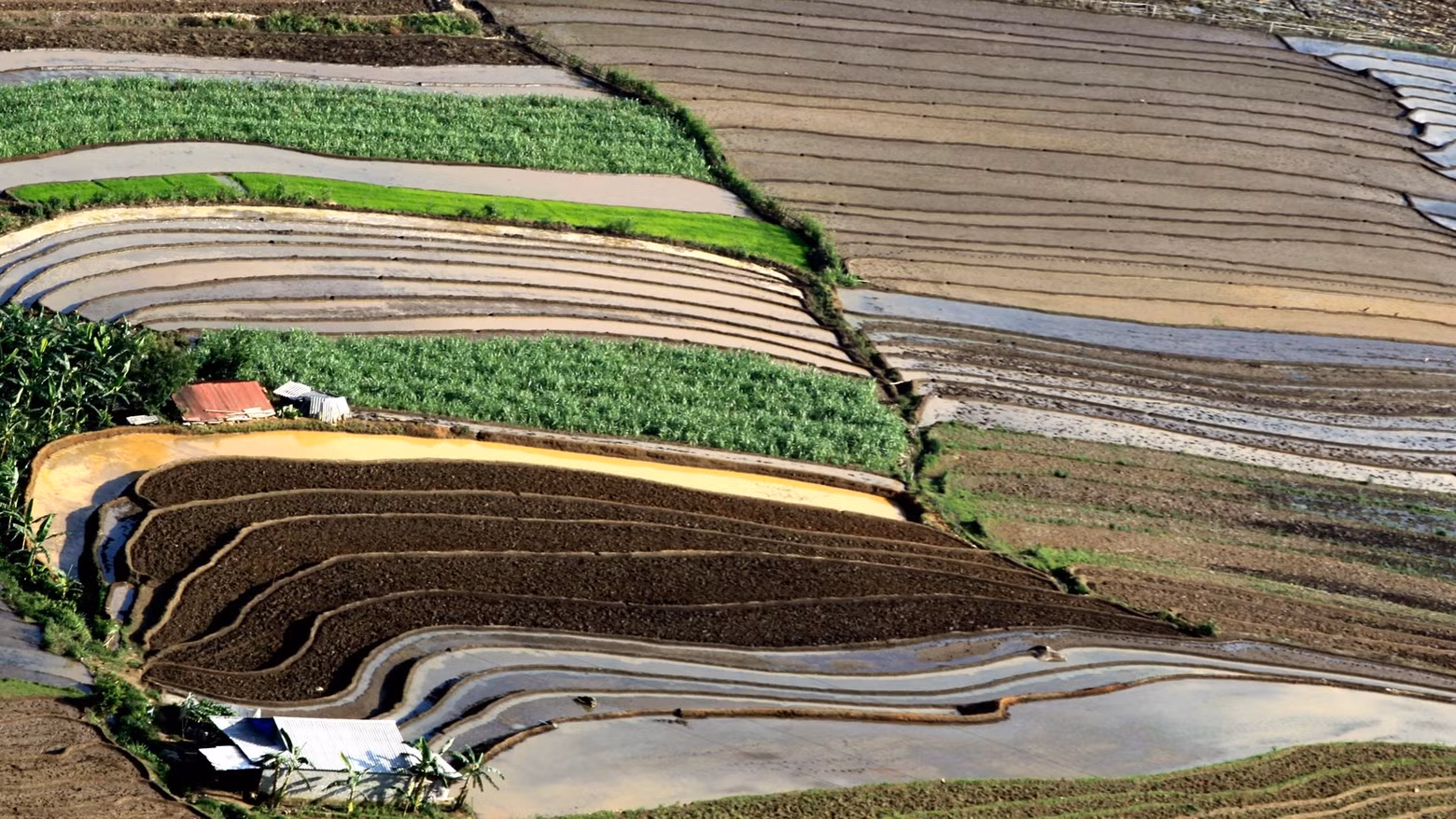 Les rizières en terrasses sont une forme d'agriculture sur des terres en pente familière aux habitants des hautes terres de Lai Châu. Photo : nhandan.vn