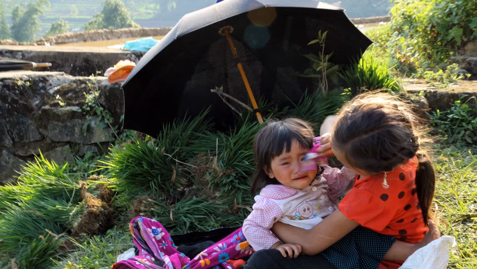Une petite fille s'occupe de sa petite soeur dans la rizière en terrasse afin que ses parents puissent semer les graines pour assurer la récolte. Photo : nhandan.vn