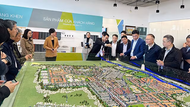 Le vice-ministre des Affaires étrangères Pham Quang Hiêu visite des parcs industriels à Nghê An ảnh 1