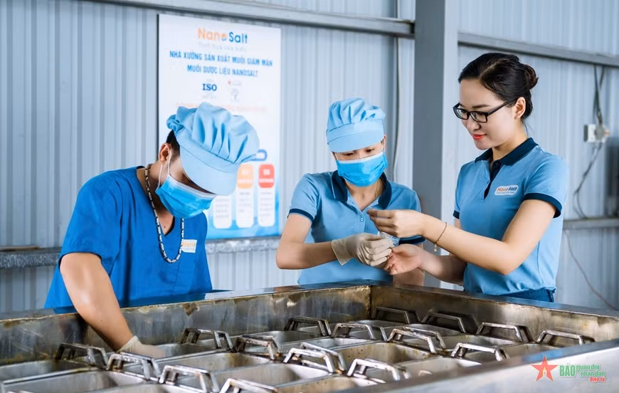 Production de produits à base de sel moins salé chez la société ABACA Vietnam (dans le district de Quynh Luu, province de Nghê An). Photo: qdnd.vn. Production de produits à base de sel moins salé chez la société ABACA Vietnam (dans le district de Quynh Luu, province de Nghê An). Photo: qdnd.vn.