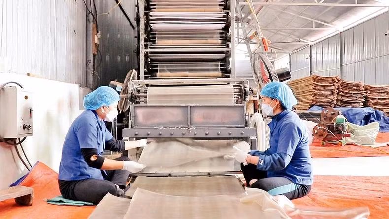 Grâce à la mise en service d’une chaîne fermée de production, la productivité annuelle des vermicelles dans le village de Con Minh a considérablement augmenté, avec un volume moyen de 1 000 tonnes de vermicelles, ce qui a permis de gagner environ 50 milliards de dôngs. Photo : NDEL.